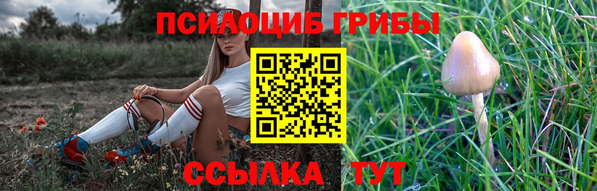 Нягань  Псилоцибиновые грибы Cubensis  Псилоцибиновые грибы GOLDEN TEACHER  как найти закладки  Вход с VPN 